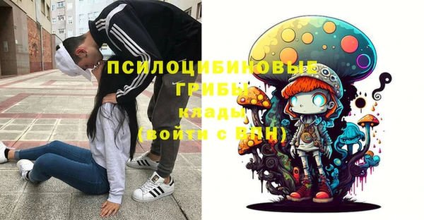PSILOCYBIN Новозыбков