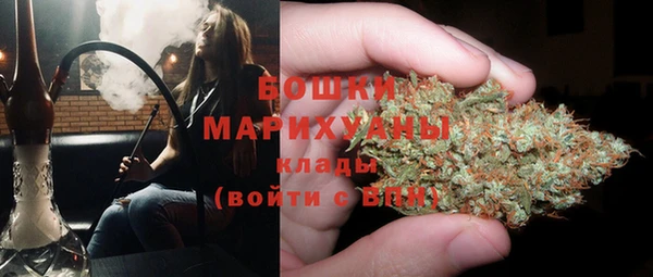 дмт Новодвинск