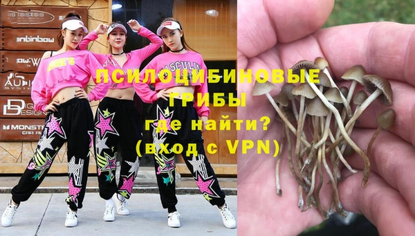 PSILOCYBIN Новозыбков